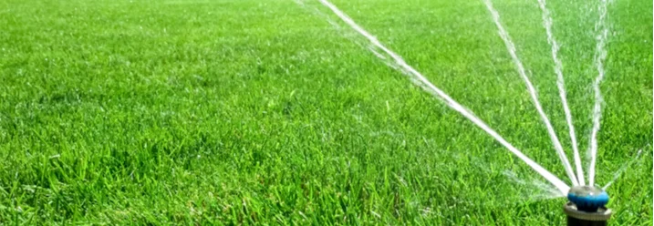 Rasensprenger bewässert grünen Rasen